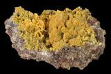 Orange Botryoidal Mimetite Formation - Mapimi, Mexico #136890-1